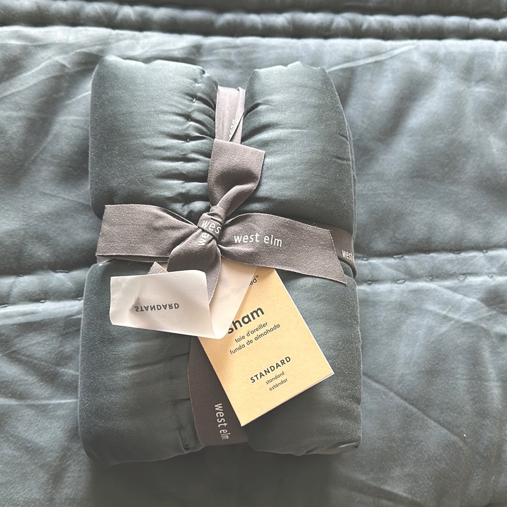 West Elm Tencel Standard Sham